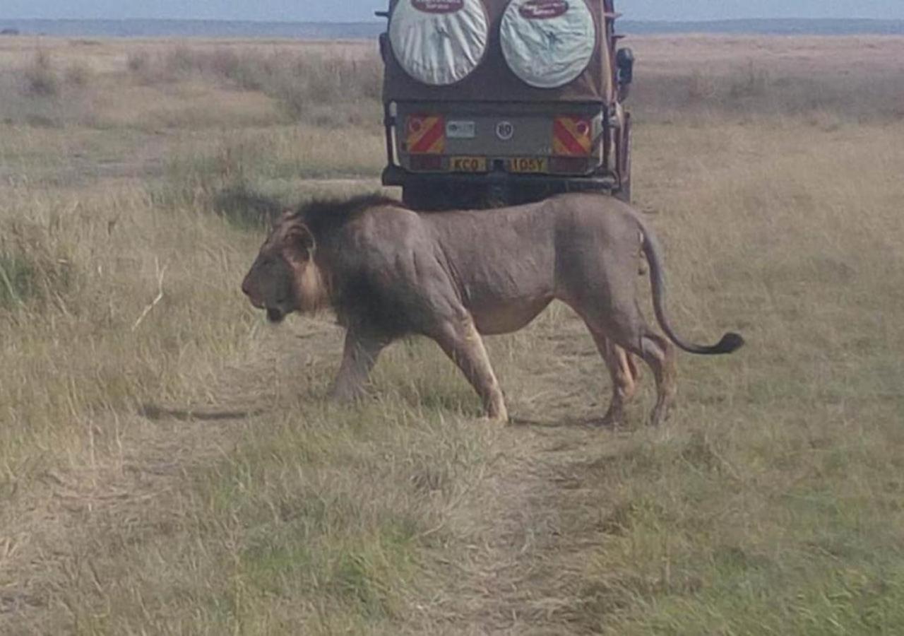 Aa Lodge Maasai Mara Talek Extérieur photo